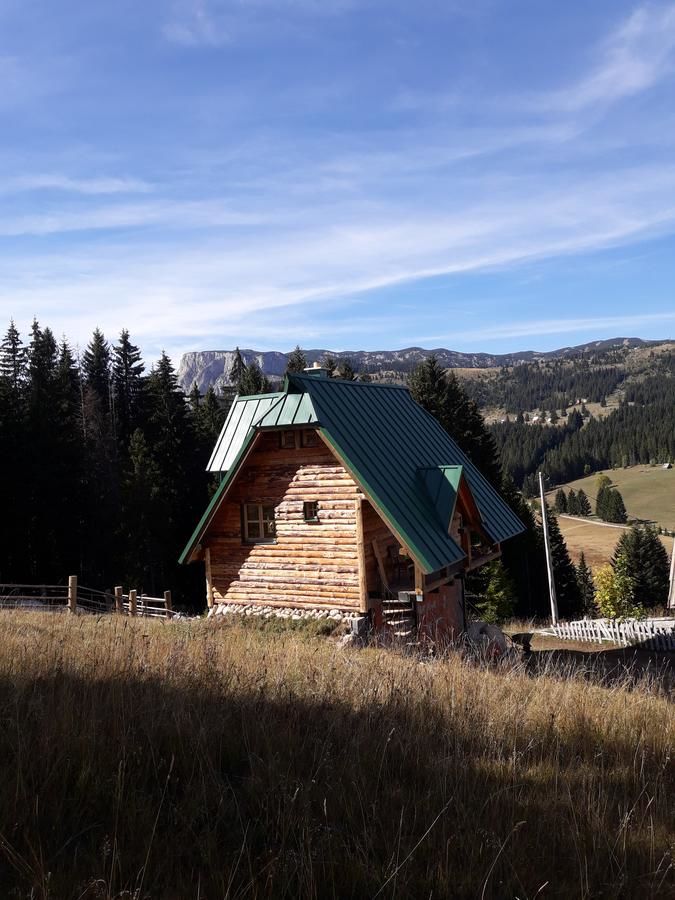 Апартаменты Mountain story apartment Жабляк-4