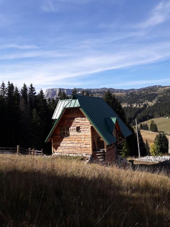 Апартаменты Mountain story apartment Жабляк-51