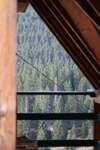 Апартаменты Mountain story apartment Жабляк-2