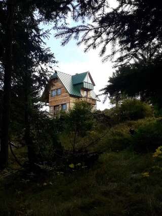 Апартаменты Mountain story apartment Жабляк Апартаменты-26