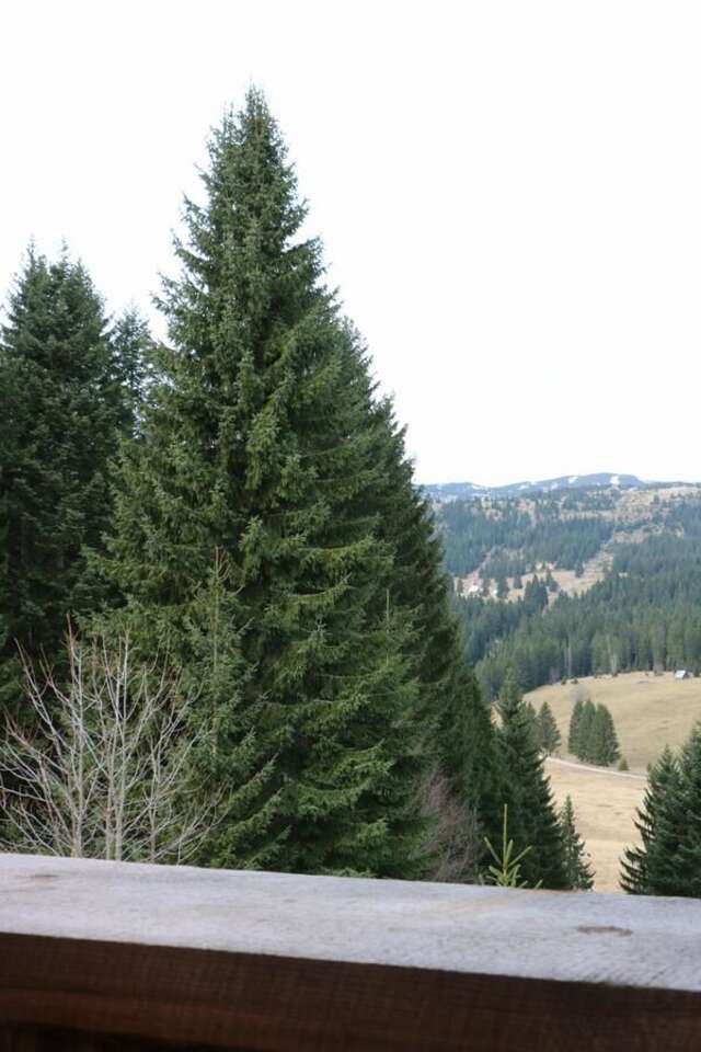Апартаменты Mountain story apartment Жабляк-21