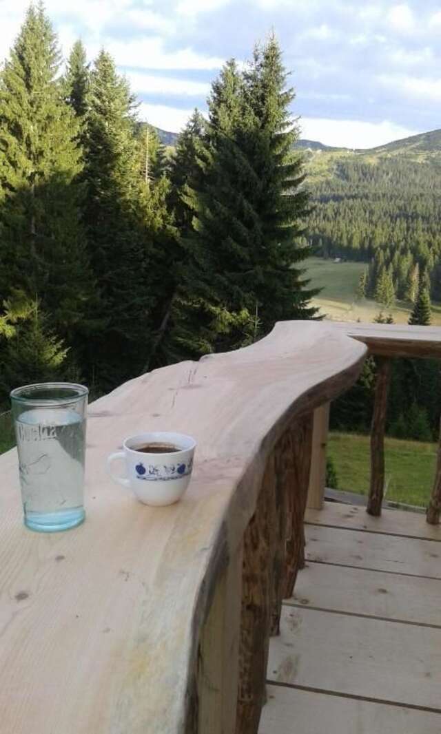 Апартаменты Mountain story apartment Жабляк-49