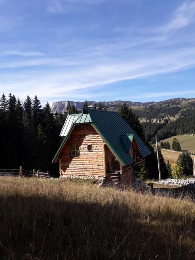 Апартаменты Mountain story apartment Жабляк-50