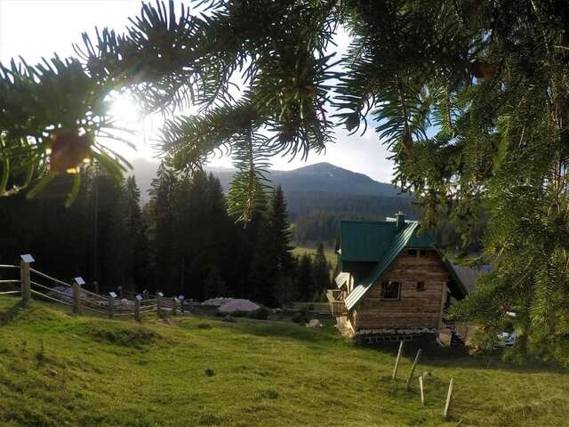 Апартаменты Mountain story apartment Жабляк-76